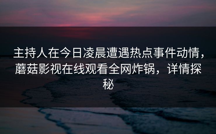 主持人在今日凌晨遭遇热点事件动情，蘑菇影视在线观看全网炸锅，详情探秘