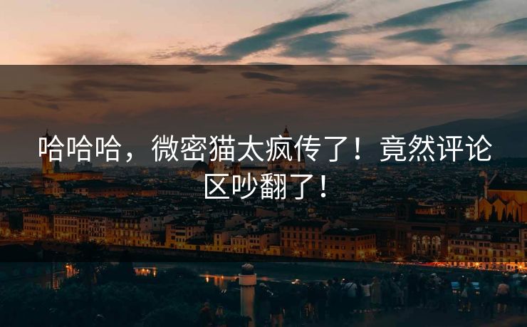 哈哈哈，微密猫太疯传了！竟然评论区吵翻了！
