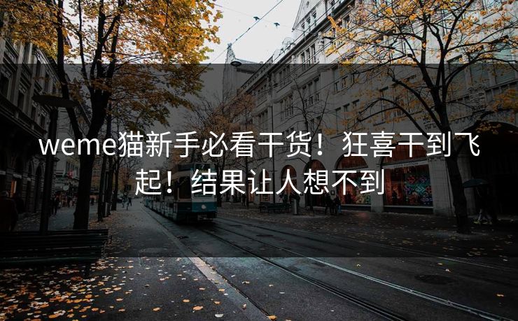 weme猫新手必看干货！狂喜干到飞起！结果让人想不到