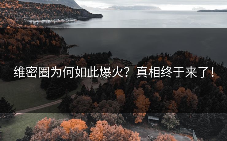 维密圈为何如此爆火？真相终于来了！