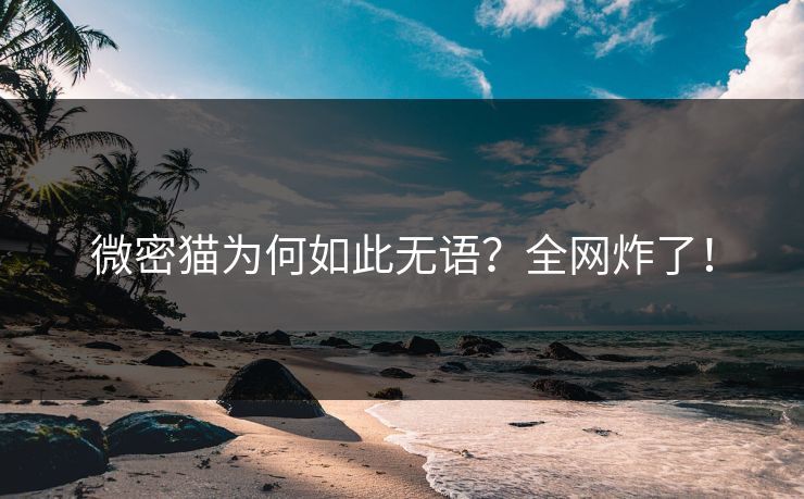 微密猫为何如此无语？全网炸了！