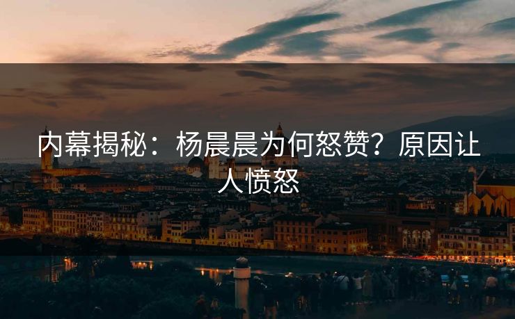 内幕揭秘：杨晨晨为何怒赞？原因让人愤怒
