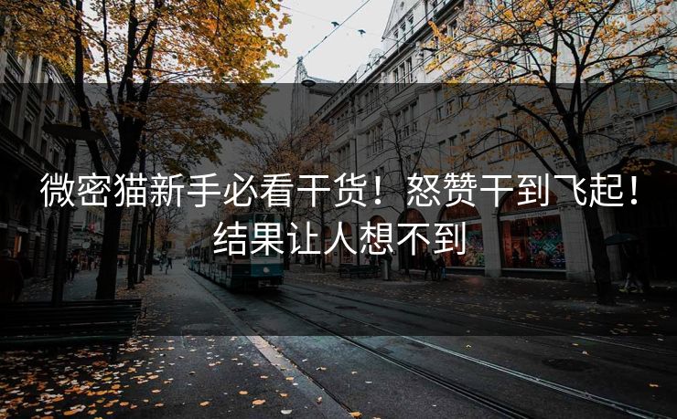 微密猫新手必看干货！怒赞干到飞起！结果让人想不到