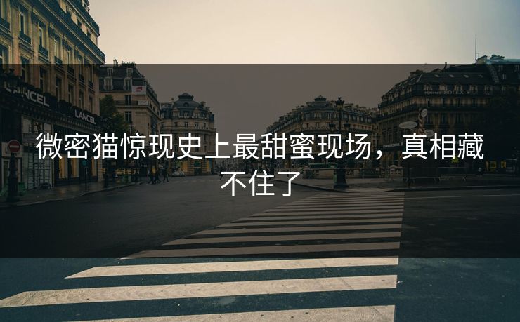 微密猫惊现史上最甜蜜现场，真相藏不住了
