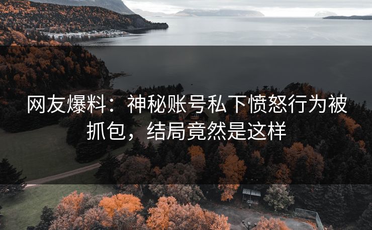网友爆料：神秘账号私下愤怒行为被抓包，结局竟然是这样