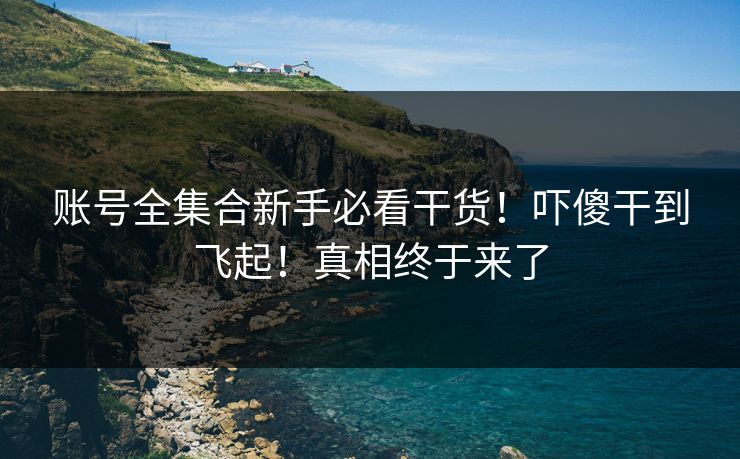 账号全集合新手必看干货！吓傻干到飞起！真相终于来了