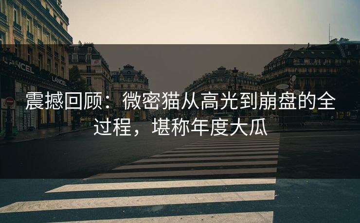 震撼回顾：微密猫从高光到崩盘的全过程，堪称年度大瓜
