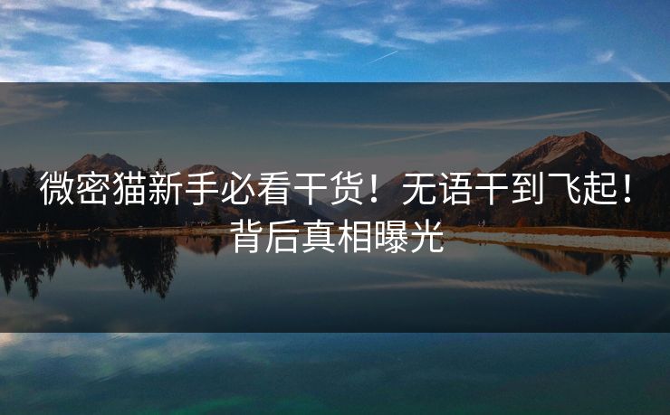微密猫新手必看干货！无语干到飞起！背后真相曝光