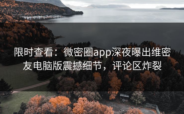 限时查看：微密圈app深夜曝出维密友电脑版震撼细节，评论区炸裂
