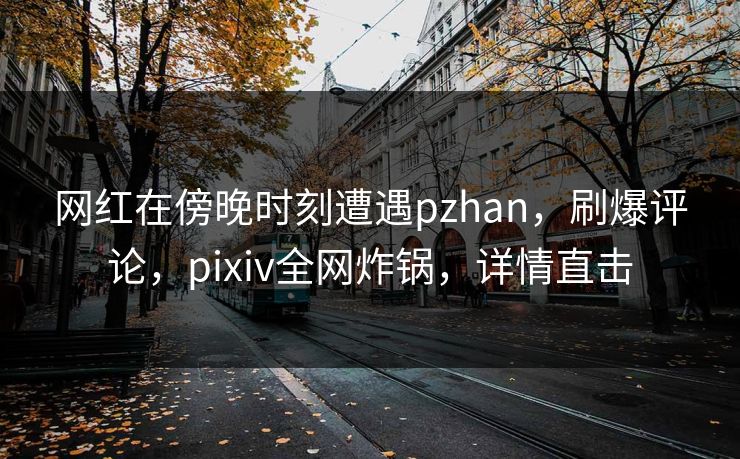 网红在傍晚时刻遭遇pzhan，刷爆评论，pixiv全网炸锅，详情直击